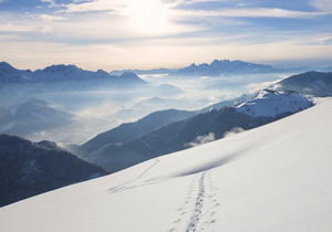 抖音快速粉丝增长：秒刷自助粉丝服务秘籍