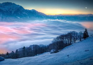 抖音增粉_微博粉丝提升方案