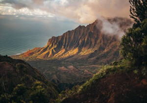 抖音24小时智能服务平台：助力粉丝增长的秘诀秘籍