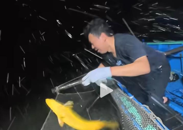 24小时抖音服务业务平台_涨粉点赞直播挂机器人