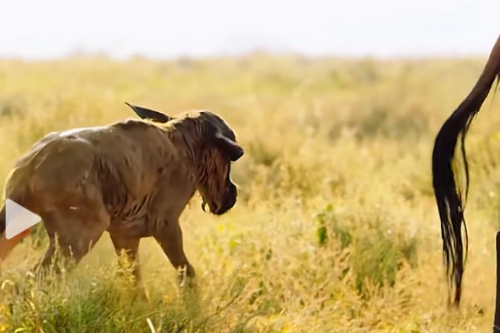 一种赚钱新模式-漫改赚钱-全新赚钱项目网