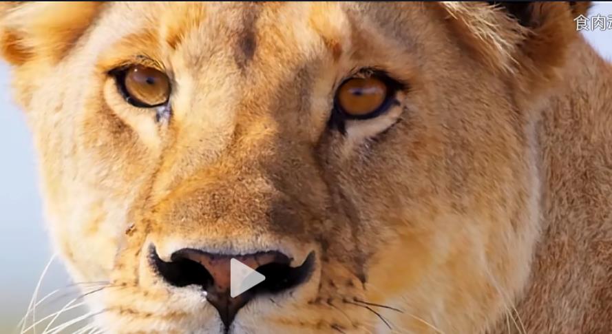 靠搬运头条也能赚钱-不愧是一个好项目 