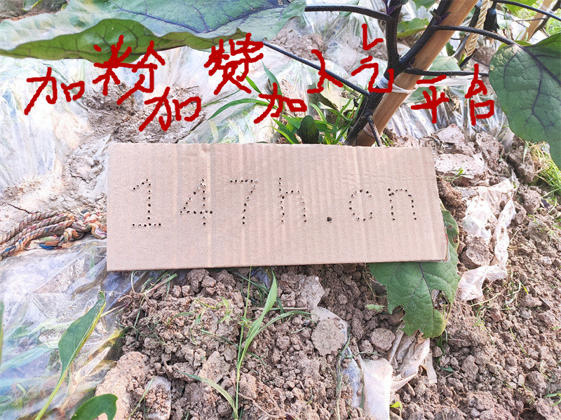 揭秘教育退费骗局：新型套路大起底